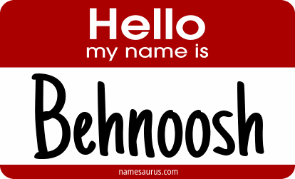 Hello my name is Behnoosh png download