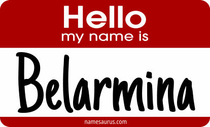Hello my name is Belarmina png download