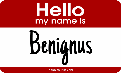 Hello my name is Benignus png download