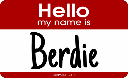 Hello my name is Berdie png download