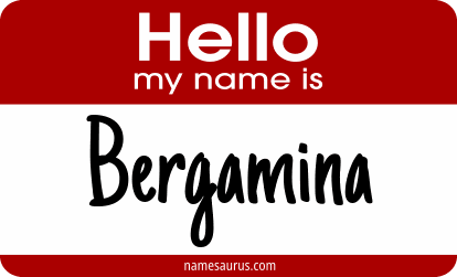 Hello my name is Bergamina png download