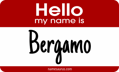 Hello my name is Bergamo png download