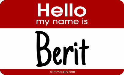Hello my name is Berit png download