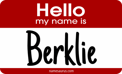 Hello my name is Berklie png download