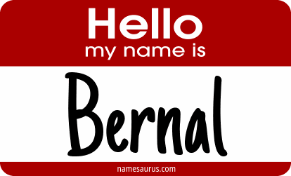Hello my name is Bernal png download