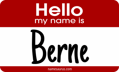 Hello my name is Berne png download