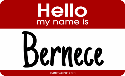 Hello my name is Bernece png download