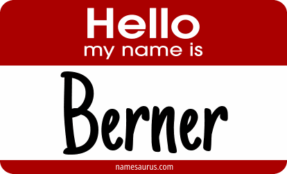 Hello my name is Berner png download