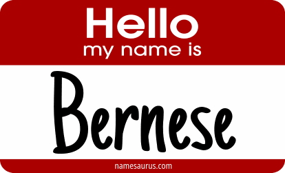 Hello my name is Bernese png download