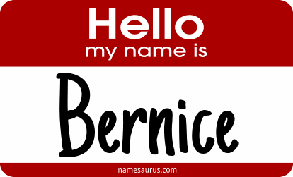 Hello my name is Bernice png download