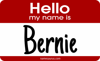 Hello my name is Bernie png download