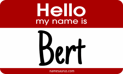 Hello my name is Bert png download