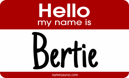 Hello my name is Bertie png download