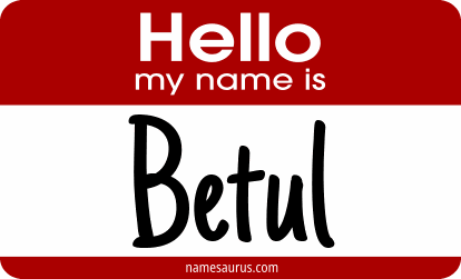 Hello my name is Betul png download