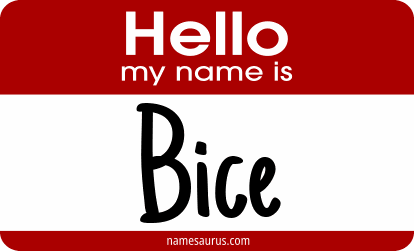 Hello my name is Bice png download