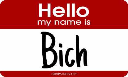 Hello my name is Bich png download