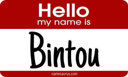 Hello my name is Bintou png download