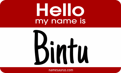 Hello my name is Bintu png download