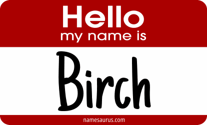 Hello my name is Birch png download