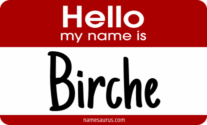 Hello my name is Birche png download