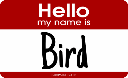 Hello my name is Bird png download