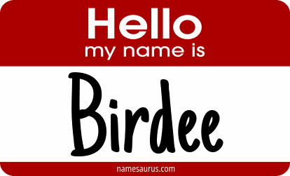 Hello my name is Birdee png download