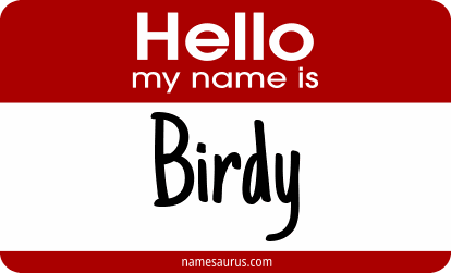 Hello my name is Birdy png download