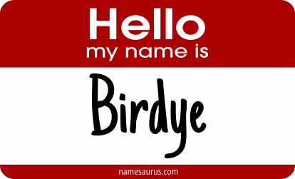 Hello my name is Birdye png download