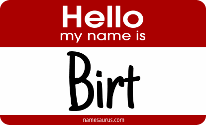 Hello my name is Birt png download