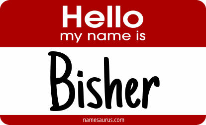 Hello my name is Bisher png download
