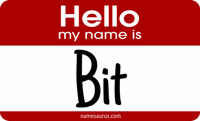 Hello my name is Bit png download