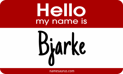 Hello my name is Bjarke png download