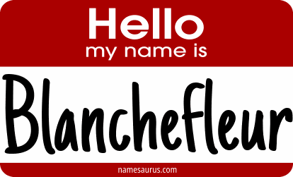 Hello my name is Blanchefleur png download