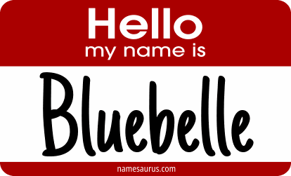 Hello my name is Bluebelle png download