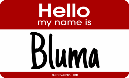 Hello my name is Bluma png download
