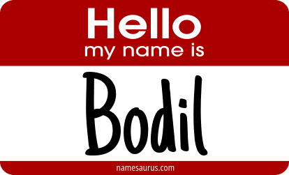 Hello my name is Bodil png download