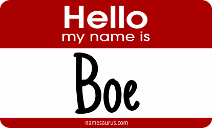 Hello my name is Boe png download