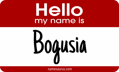 Hello my name is Bogusia png download