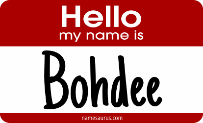 Hello my name is Bohdee png download