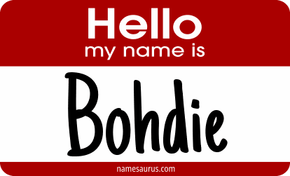 Hello my name is Bohdie png download