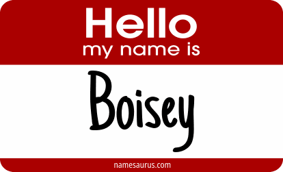 Hello my name is Boisey png download