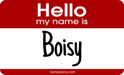 Hello my name is Boisy png download