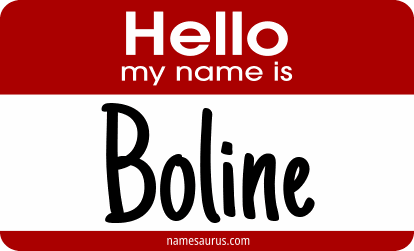 Hello my name is Boline png download