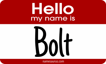 Hello my name is Bolt png download