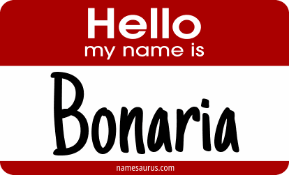 Hello my name is Bonaria png download