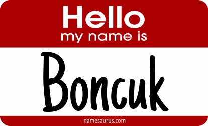Hello my name is Boncuk png download