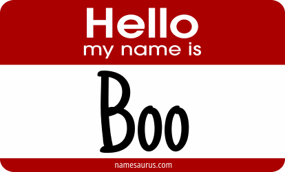 Hello my name is Boo png download