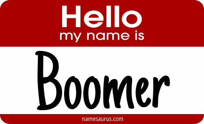 Hello my name is Boomer png download