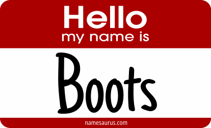 Hello my name is Boots png download
