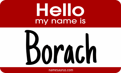 Hello my name is Borach png download